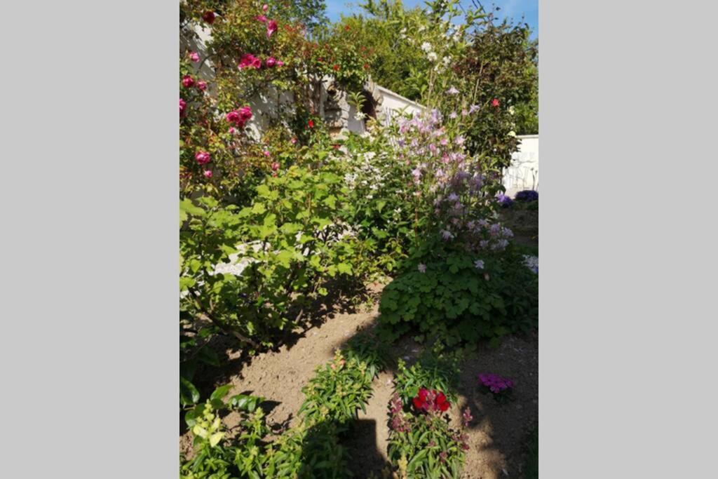 La Roseliere Maison Plain Pied Confortable Belle Decoration Jardin Magnifique 10 Mn A Pied Centre Ville Bayeux Proche Plages Du Debarquement Εξωτερικό φωτογραφία