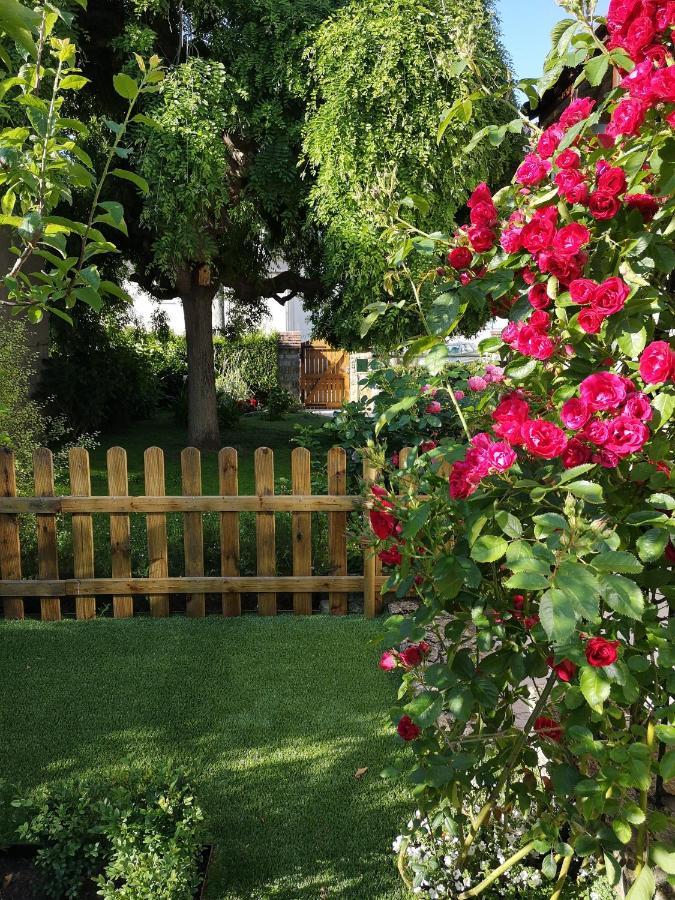 La Roseliere Maison Plain Pied Confortable Belle Decoration Jardin Magnifique 10 Mn A Pied Centre Ville Bayeux Proche Plages Du Debarquement Εξωτερικό φωτογραφία